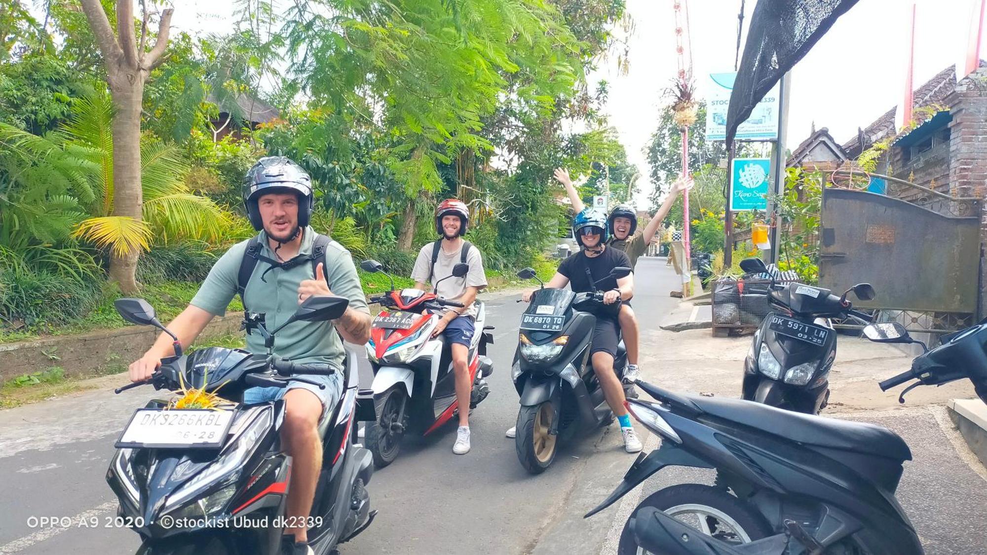 Villa Danu House *