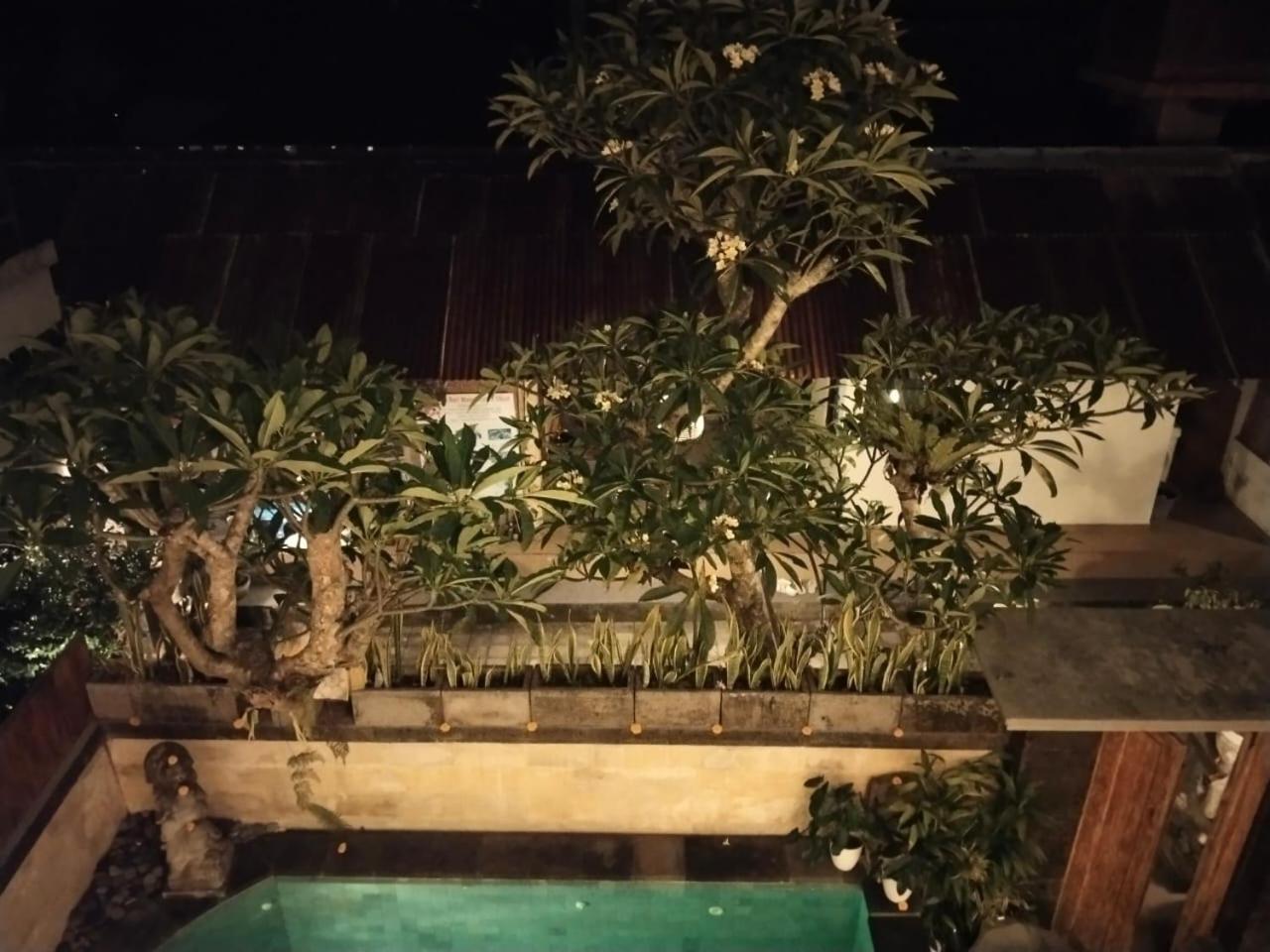 Danu House Ubud